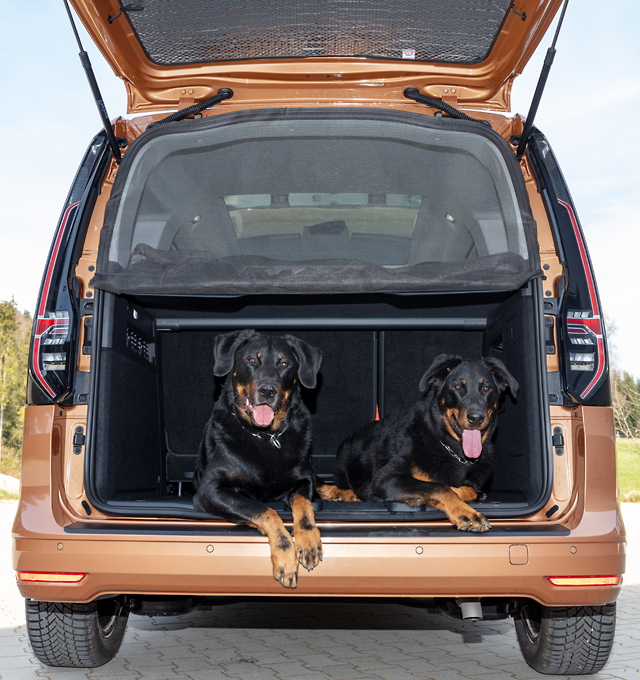 Moskitonetz für VW Caddy - Heck (ab 2020) / Insektenschutz