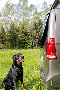 AIR-SAFE ® Mercedes-Benz Heckfenster V-Klasse / Marco Polo